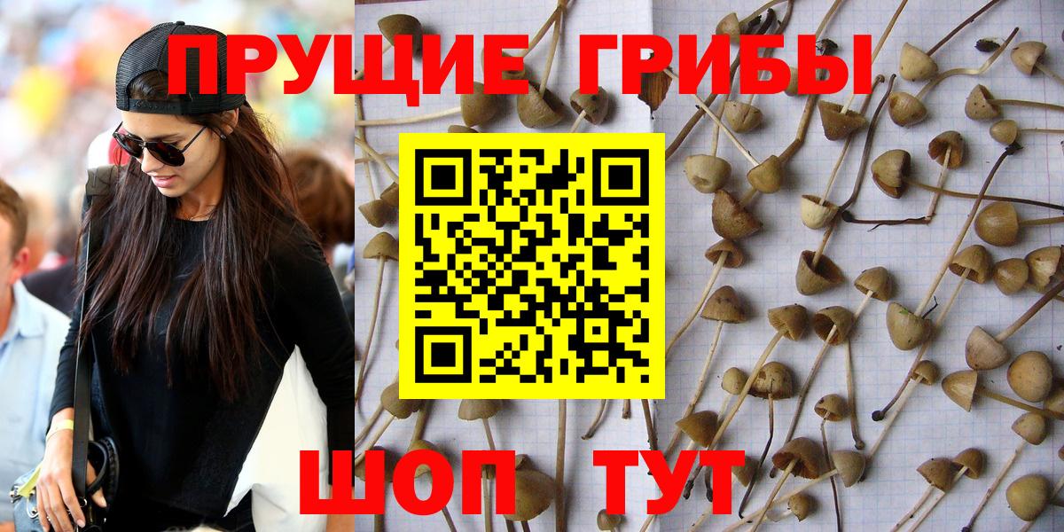 Галлюциногенные грибы ЛСД  Вход с VPN  Азнакаево 