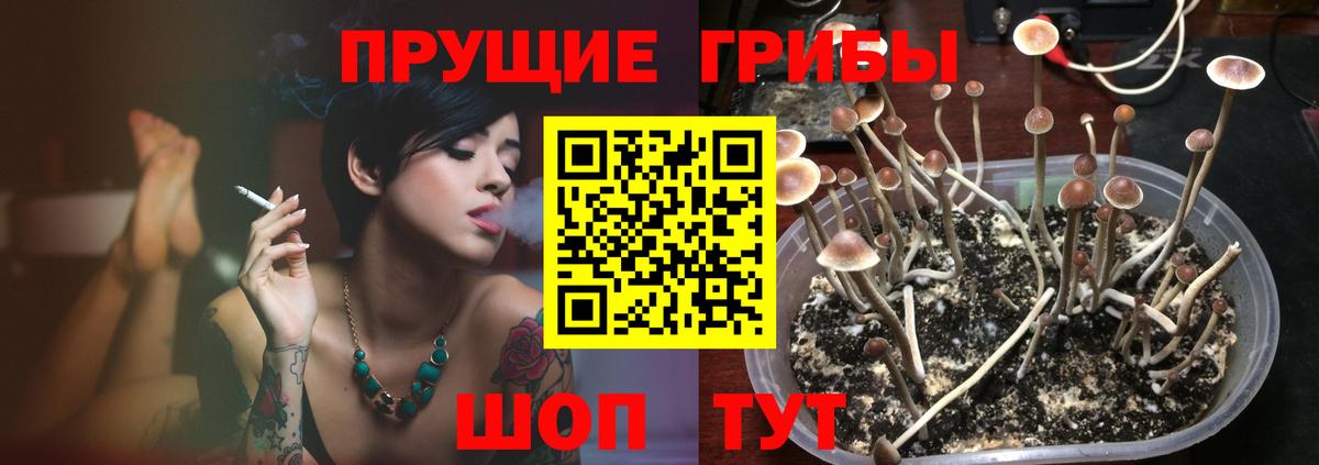 Псилоцибиновые грибы MAGIC MUSHROOMS Азнакаево